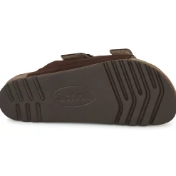 Scholl - JULIEN