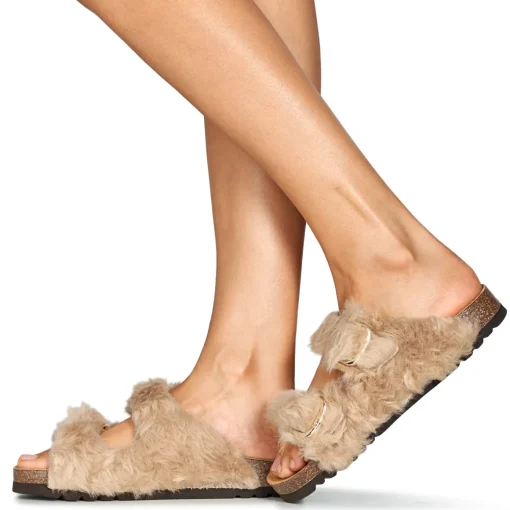 Scholl - NOELLE