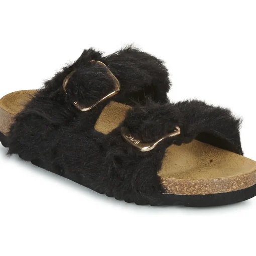 Scholl - NOELLE
