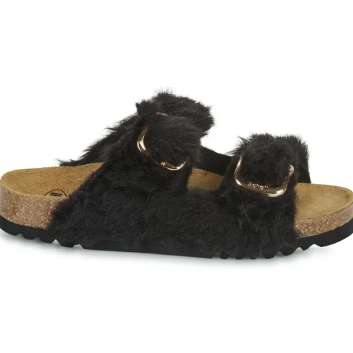 Scholl - NOELLE