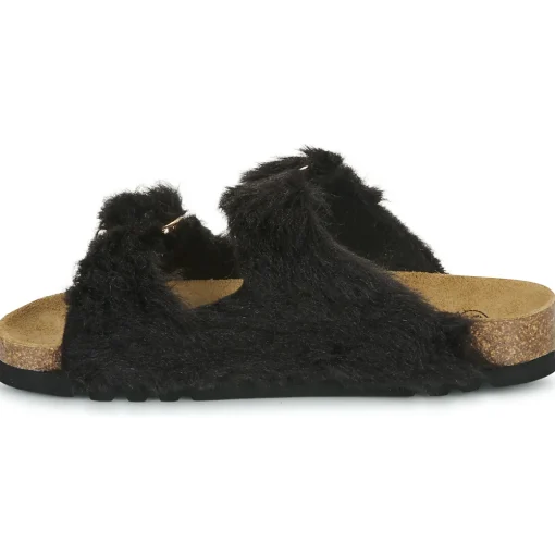 Scholl - NOELLE