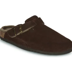 Scholl - OLIVIER