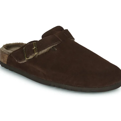 Scholl - OLIVIER