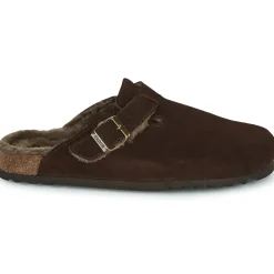 Scholl - OLIVIER