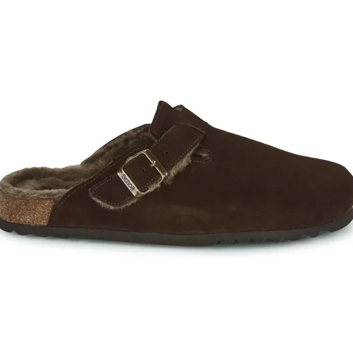 Scholl - OLIVIER