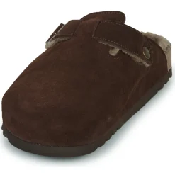 Scholl - OLIVIER
