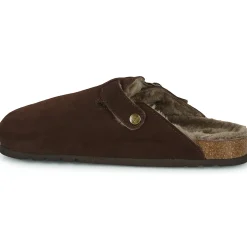 Scholl - OLIVIER