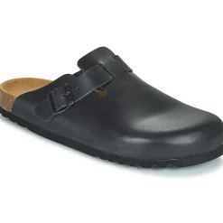 Scholl - OLIVIER