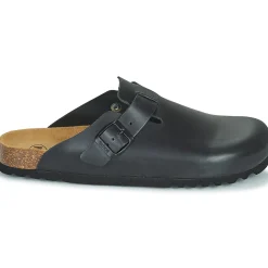 Scholl - OLIVIER