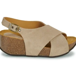 Scholl - YVONNE
