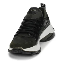 Steve Madden - AJAX