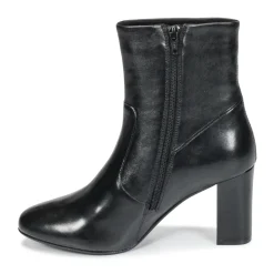 Steve Madden - AVENUE