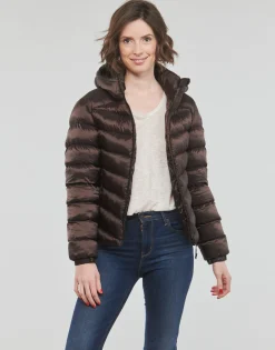 Superdry - HOODED FUJI PADDED JACKET