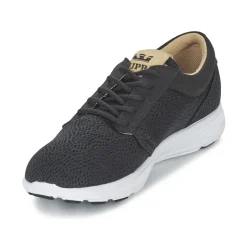 Supra - HAMMER RUN