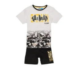TEAM HEROES  - ENSEMBLE BATMAN