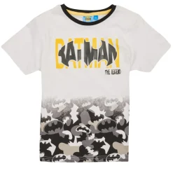 TEAM HEROES  - ENSEMBLE BATMAN