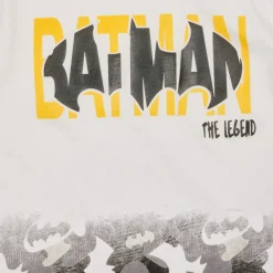 TEAM HEROES  - ENSEMBLE BATMAN