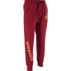 TEAM HEROES  - JOGGING HARRY POTTER