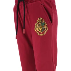 TEAM HEROES  - JOGGING HARRY POTTER
