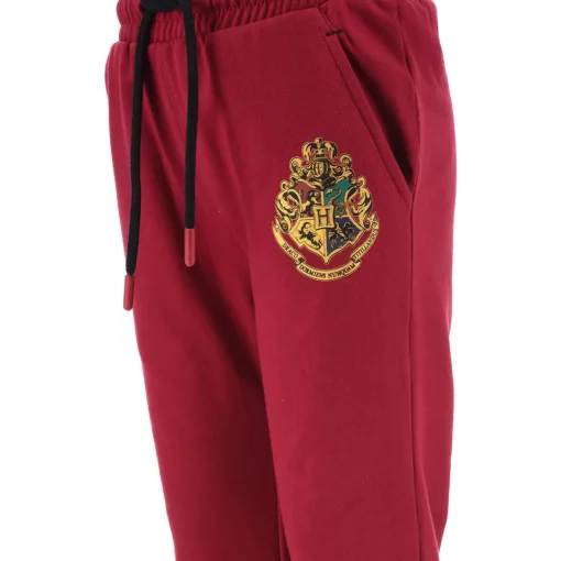 TEAM HEROES  - JOGGING HARRY POTTER