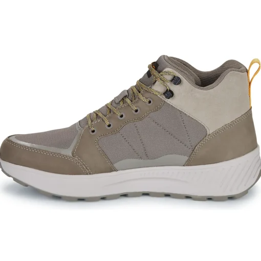 Teva - Ellwood Mid
