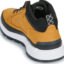 Timberland - FIELD TREKKER
