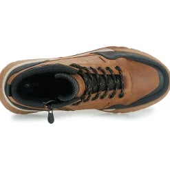 Tom Tailor - MARRONE
