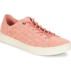 Toms - LENOX
