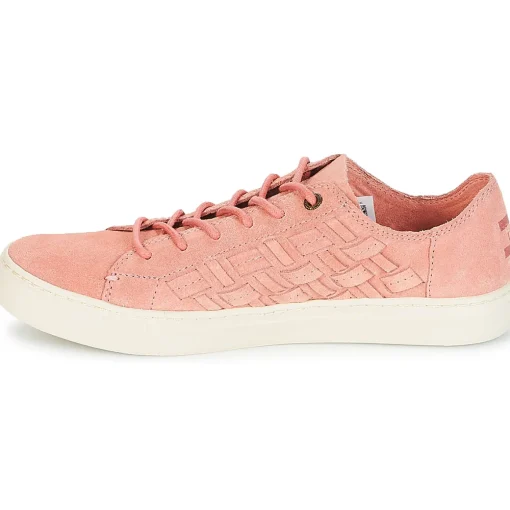 Toms - LENOX