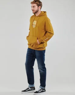 Vans - SCRIPT PO