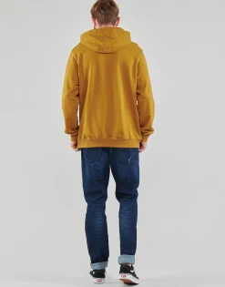 Vans - SCRIPT PO