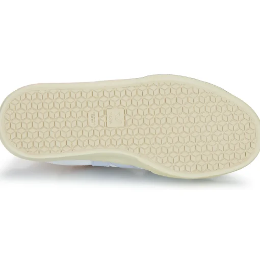 Veja - CAMPO CANVAS