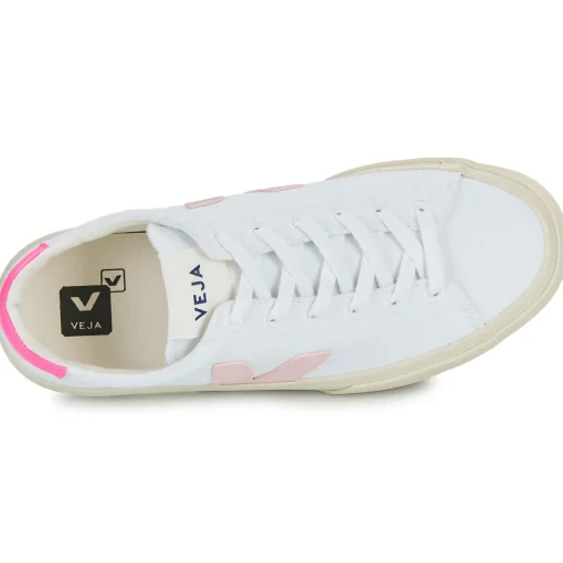 Veja - CAMPO CANVAS