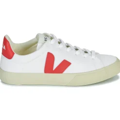 Veja - CAMPO CANVAS