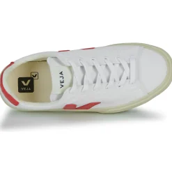 Veja - CAMPO CANVAS