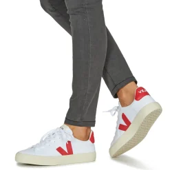 Veja - CAMPO CANVAS