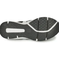 Veja - CONDOR 2