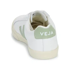 Veja - ESPLAR LOGO