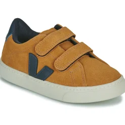 Veja - SMALL ESPLAR
