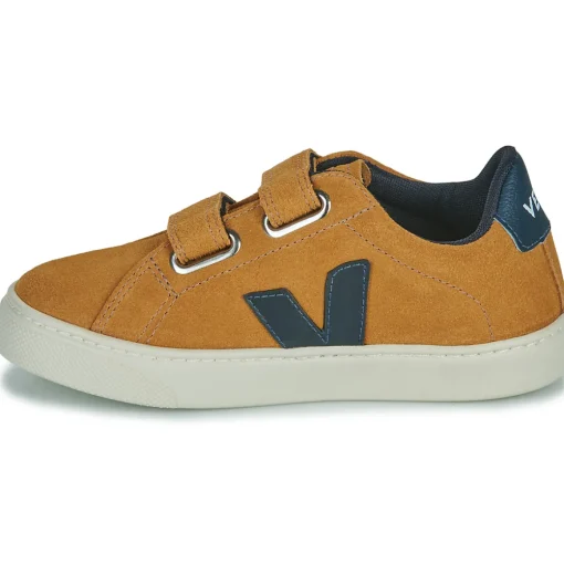 Veja - SMALL ESPLAR
