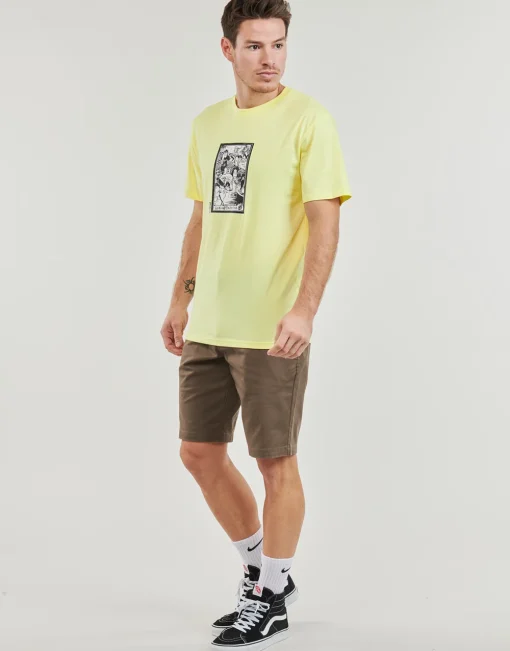 Volcom - MADITI BSC SST