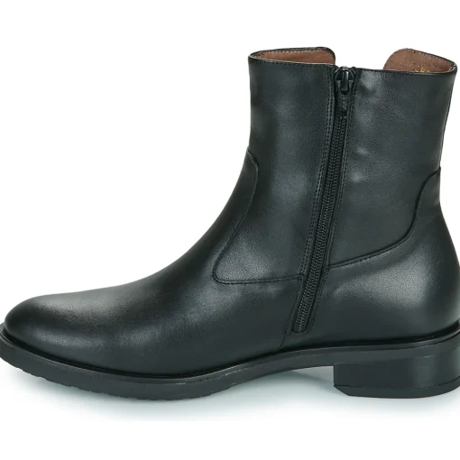 Wonders - C-5481