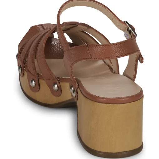 Wonders - D-9501-WILD