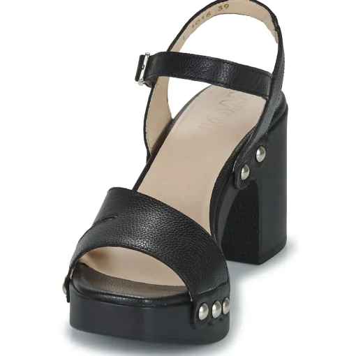 Wonders - L-1016-WILD