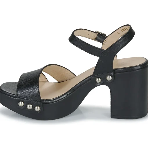 Wonders - L-1016-WILD