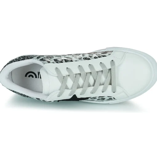 Yurban - ANISTAR